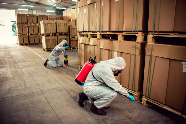 Best Emergency Pest Control  in North Highlands, CA