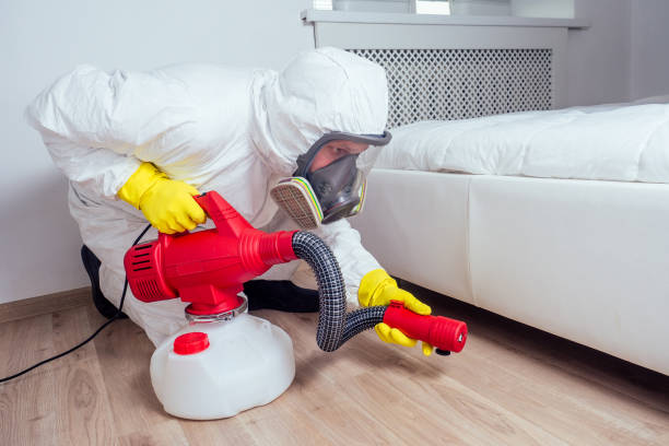 Best Exterminator Services  in North Highlands, CA