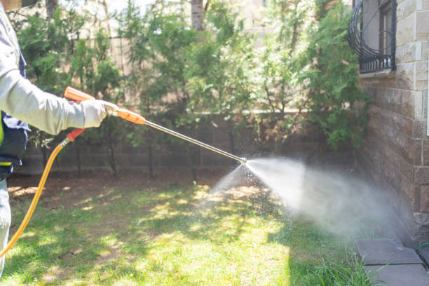 Best Local Pest Control Services  in North Highlands, CA
