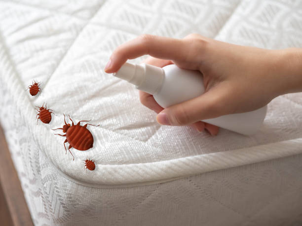 Best Pest Control Near Me  in North Highlands, CA