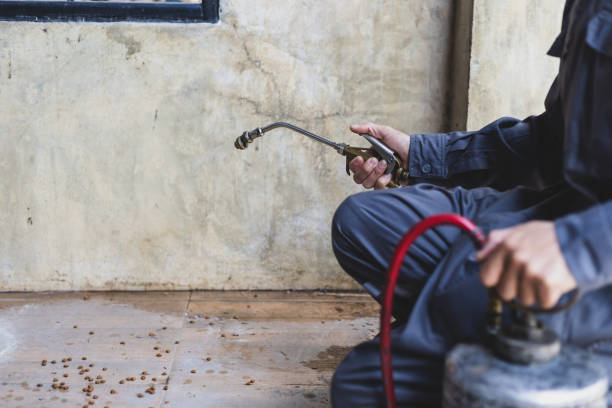 Wasp Removal Services in North Highlands, CA
